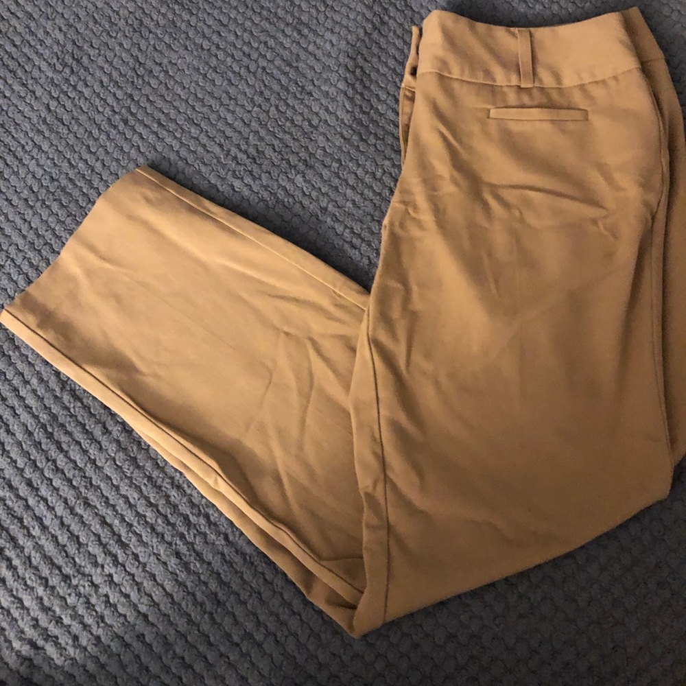 Express Editor Dress Pants